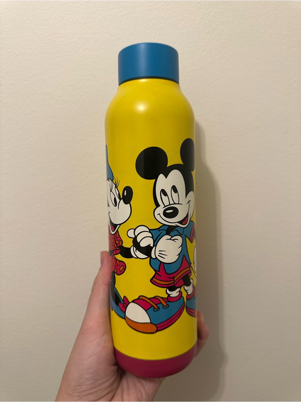 Disney Parks Mickey and Minnie Stainless Steel Water Bottle New